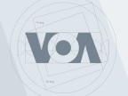 Palacio TV Report