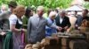 The Green King: Charles the Environmentalist 