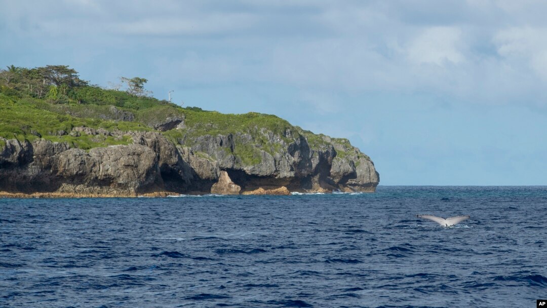 FILE - A tail of a humpback whale breaks the water in Niue in this 2018 photo. The tiny Pacific island nation of Niue has come up with a novel plan to protect its vast and pristine territorial waters — it will get sponsors to pay.