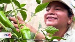 Agricultora enseña prácticas contra el cambio climático en su comunidad