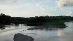 Aves amenazadas por el cambio climático en Colombia