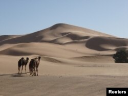 A view of the Lala Lallia star dune of the Sahara Desert, in Erg Chebbi, Morocco, as seen in an undated handout image from 2008 and obtained by Reuters on March 1, 2024. (Charlie Bristow/Handout via REUTERS)