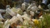 Are the Tiny Plastic Particles in Our Bodies Harmful?