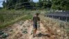 China Plans Cloud Seeding to Protect Grain Crop from Drought