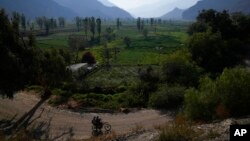Residentes en una motocicleta pasan frente a cultivos de hortalizas en Huaywasi, un área que abastece de hortalizas a la capital, en las afueras de La Paz, Bolivia, el 10 de noviembre de 2022.