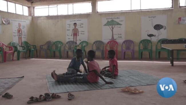 Drought Prompts Over 600,000 School Dropouts in Ethiopia
