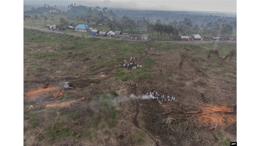 In less than two months, more than 200 hectares (500 acres) of forest have been razed to stumps in this corner of the Virunga National Park, where tens of thousands of Congolese have fled from clashes between rebels and the military. (Displaced people carry charcoal from the forest to the market for sale at the foot of the Nyiragongo volcano in Virunga National Park, Jan. 14, 2023.)