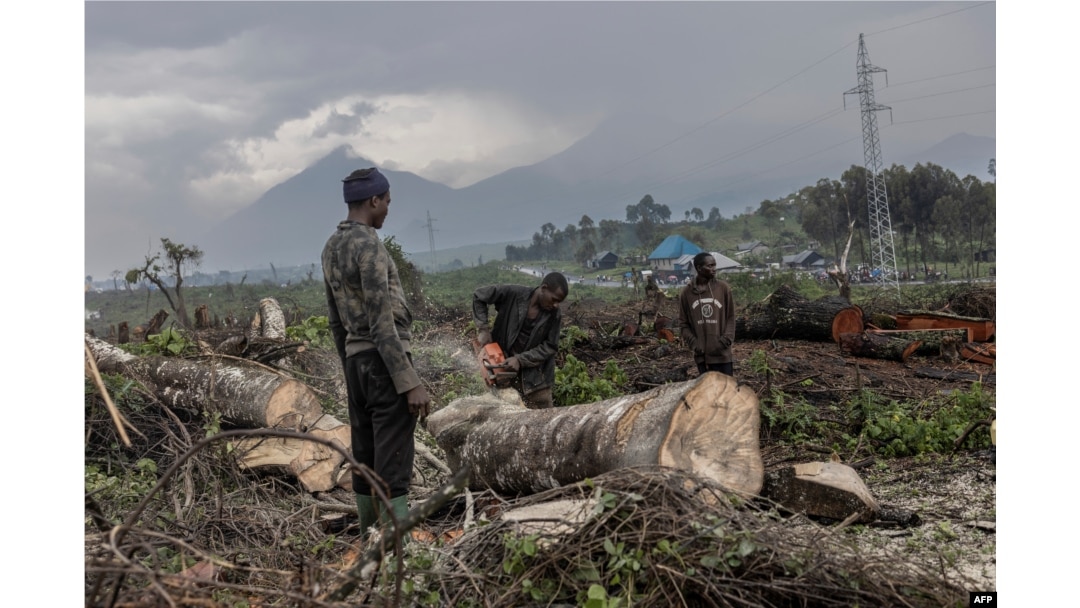 Ezekiya Yadi Jackson (L), 20, refuels his chainsaw at the foot of Nyiragongo Volcano in Virunga National Park, Democratic Republic of Congo, Jan. 13, 2023.