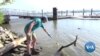 Floating Laboratory Monitors Potomac River Water Quality