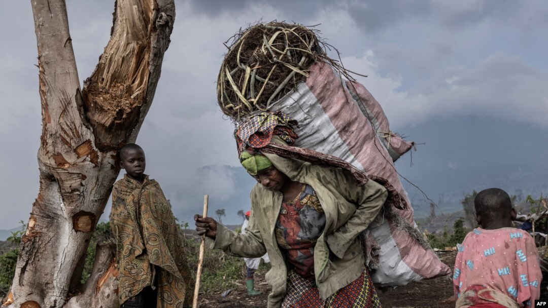 Internally displaced people (IDP) carry charcoal from the forest at the foot of Nyiragongo volcano in Virunga National Park, Jan. 13, 2023, to the market in Kibati, DRC. 