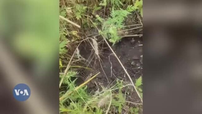 Mwanajeshi mstaafu wa Marekani asaidia kutegua mabomu Ukraine