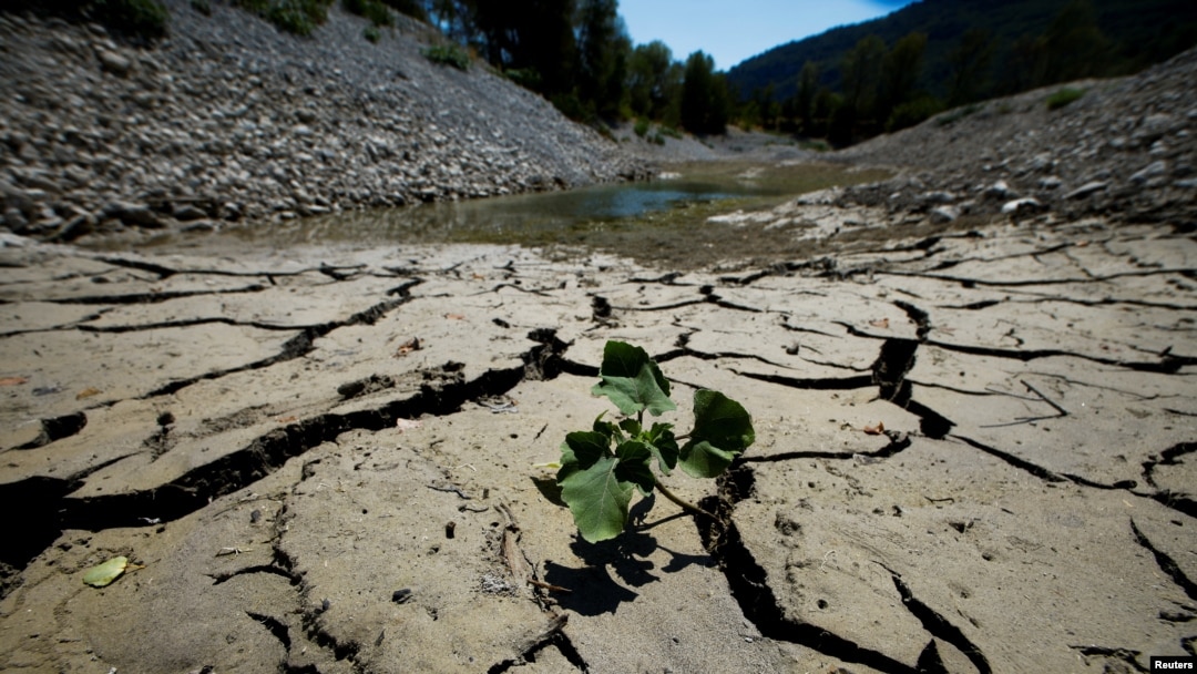 Cracked and dry earth is seen on the banks of Le Broc lake, as a historical drought hits France, Aug. 5, 2022.