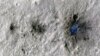 NASA Spacecraft Records Sounds of Space Rocks Hitting Mars