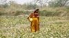 Mothers Suffer in Hottest City on Earth