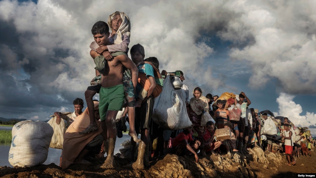 FILE - Rohingya refugees fleeing Myanmar cross a muddy rice field in Palang Khali, Bangladesh, in October 2017. (IWMF/Paula Bronstein)