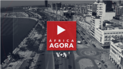 África Agora: FoA espera que engajamento com governo americano traga novos valores democráticos