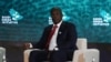 Nigerian Experts Praise Trans-Saharan Gas Pipeline Project 