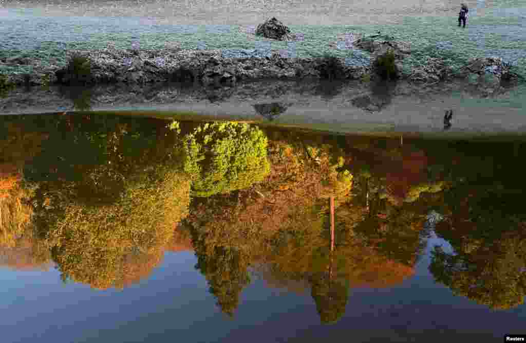 A visitor and autumn foliage are reflected in the lake at Stourhead gardens in Wiltshire, Britain.