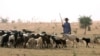 As Droughts Worsen, Phones and Radios Lead Way to Water for Niger's Herders
