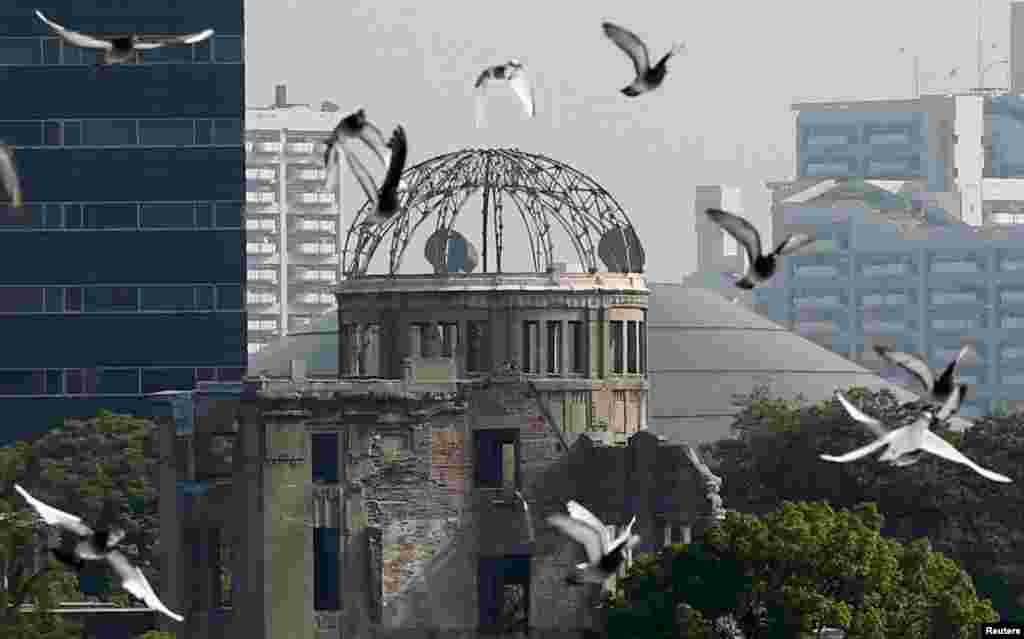 Doves fly over Peace Memorial Park with Atomic Bomb Dome in the background, at a ceremony in Hiroshima, August 6, 2015.