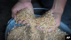 La Iniciativa de Granos del Mar Negro ha permitido exportar 32,8 millones de toneladas de alimentos desde Ucrania desde agosto pasado.
