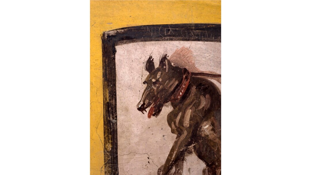 This undated image provided by Pompeii Archaeological Park's press office shows a painting of a dog on a leash at a recently uncovered thermopolium, or fast-food eatery, at Pompeii. @Luigi Spina (Courtesy)