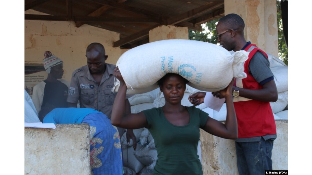 Flood survivors receiving donation of maize from world Food program in flood hit Chikwawa distrcit, Malawi.