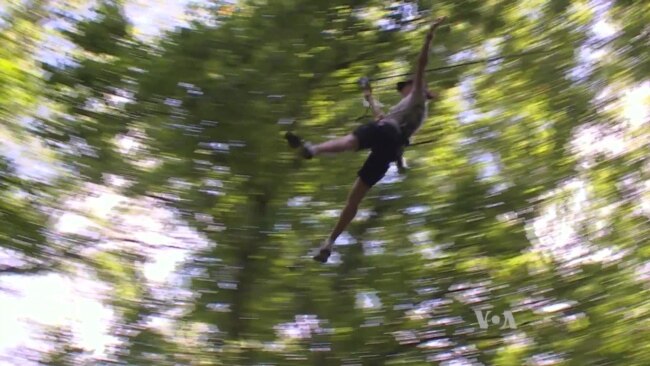 Obstacle Courses Let Visitors 'Go Ape' for Love of Nature, Adventure