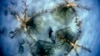 16x9 Image