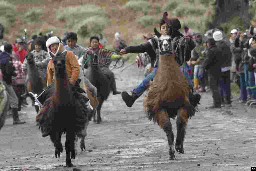 Children compete in the annual llama races that commemorate "World Wetlands Day" in Ecuador's Llanganates National Park, Feb. 1, 2025.