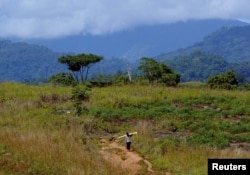 FILE - A man returning from the jungle carries wood toward a refugee camp just outside the Solomon Island's capital Honiara, July 23, 2003.