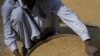 G20 Farm Ministers Take Steps to Control Food Prices