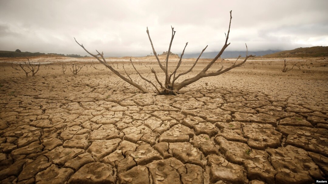 Dried-out branches are seen amongst caked mud at Theewaterskloof dam near Cape Town, South Africa, Jan. 20, 2018.