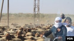 Farming is the main industry for many Syrian villagers, a profession that often yields just enough profits for survival. High taxes and corruption under IS rule was more difficult than extreme ideologies for many rural farmers, near Sarran, Syria, Aug. 18, 2017. (H. Murdock/VOA)