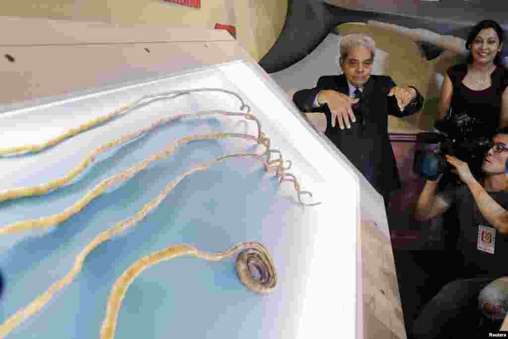Shridhar Chillal of India displays his newly cut fingernails in front of his granddaughter Shraddha Chillal at an announcement that the five fingernails he grew for 66 years will be displayed in Ripley's Believe it or Not in New York, July 11, 2018.