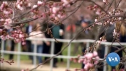 April Storm Brings Wild Weather to Central US