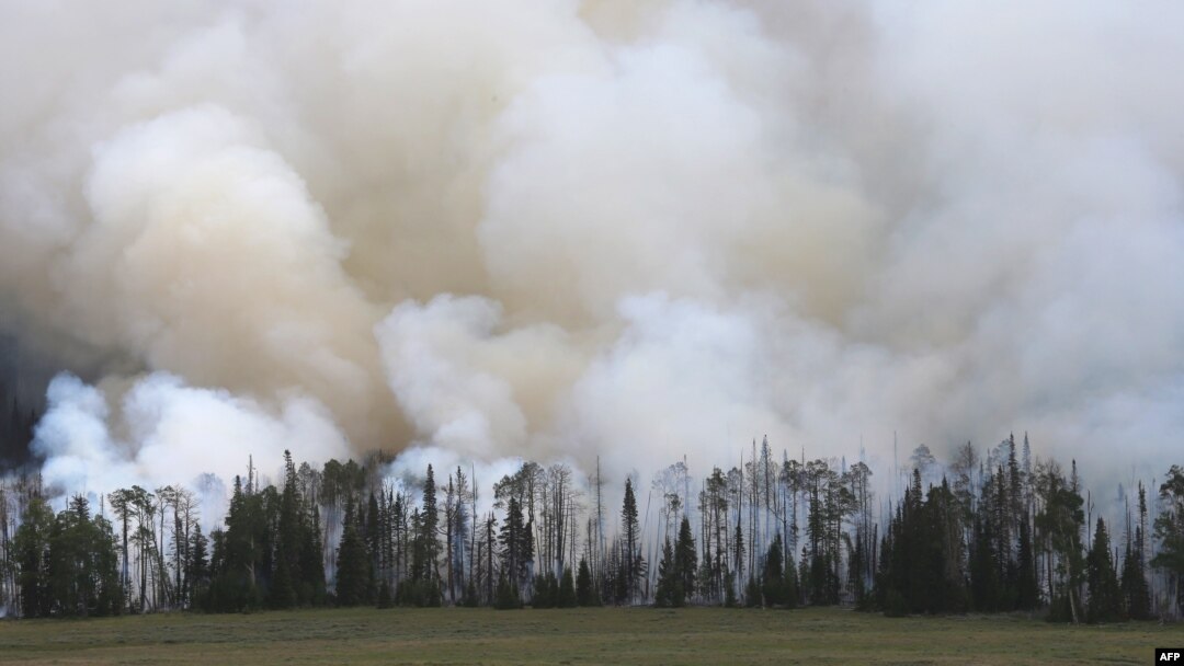 Smoke bellows from a stand of trees from a wildfire that is burning in the area, June 25, 2017, outside Panguitch, Utah.