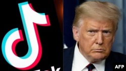 特朗普總統（右）與tiktok標識