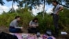 Cuban Biologists Solve Mysteries of Bird Migration