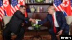 Kim Trump