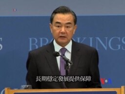 王毅：台灣問題是中美關係的"負資產"