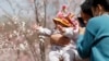北京一座公園裡一對夫婦抱著嬰兒賞櫻。（2021年3月24日）