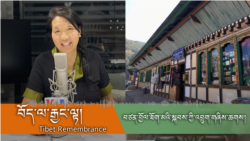 བོད་པ་ཚོ་བཙན་བྱོལ་མཚམས་ཀྱི་འབྲུག་ནང་གི་གཞིས་ཆགས། དུམ་བུ་གཉིས་པ། 