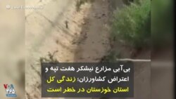 بی‌آبی مزارع نیشکر هفت تپه و اعتراض کشاورزان؛ زندگی کل استان خوزستان در خطر است 