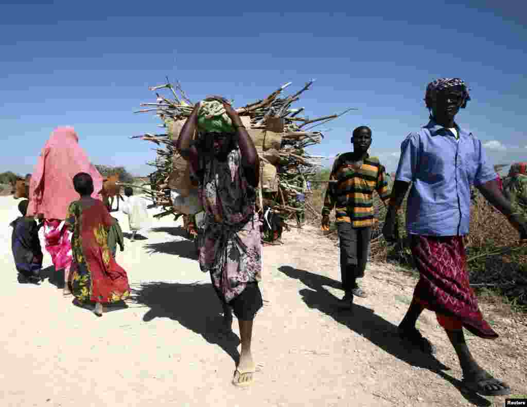 A woman carries bundles of firewood on her back to be delivered for use as fuel for cooking for people displaced as a result of flooding in areas around the town of Jowhar, north of Somalia's capital Mogadishu, Dec. 10, 2013.