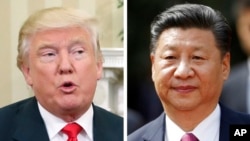 美國總統川普（左）和中國國家主席習近平（右）。