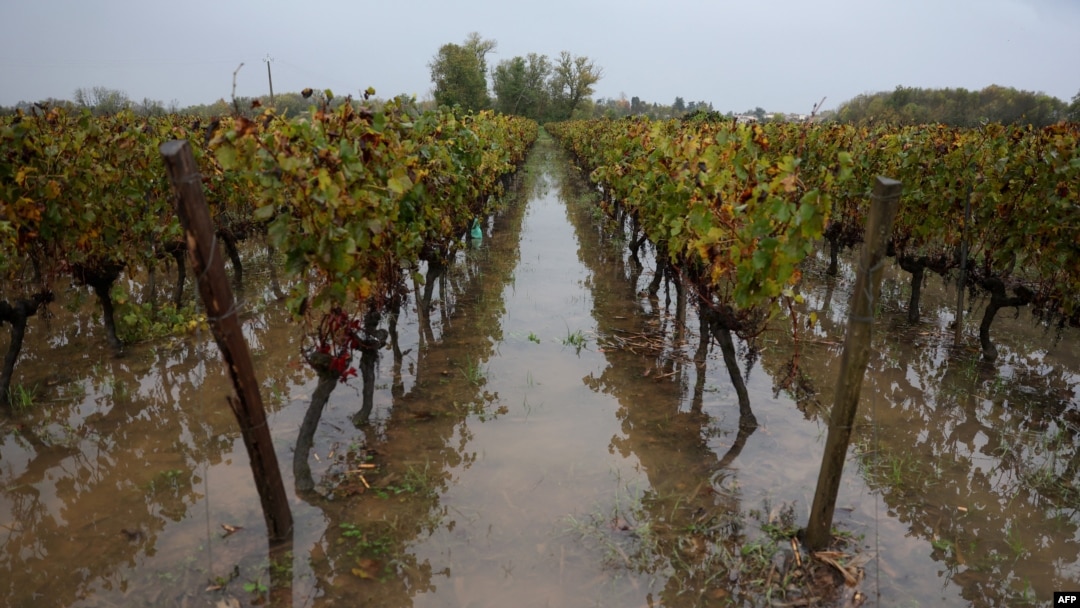 ARCHIVO - Esta vista general muestra las inundaciones en un viñedo en Portets, suroeste de Francia, el 3 de noviembre de 2023, después de que la tormenta Ciaran azotara Europa Occidental.