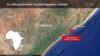 US Airstrike in Somalia Targeting al-Shabab Kills 3