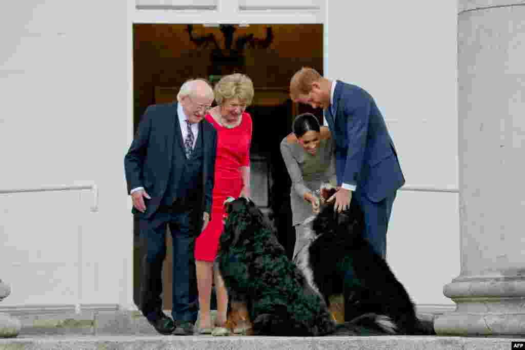 Britain's Prince Harry (R) and wife Meghan (2R), Duke and Duchess of Sussex, greet the dogs of Ireland's President Michael Higgins and wife Sabina on arrival at the Presidential mansion on the second day of their visit in Dublin.