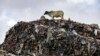 As fast fashion's waste pollutes environment, Ghana designers find a solution